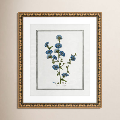Colombe "Soft Botanical I" Print
