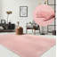 Hiroto Rug in Rose-885629009
