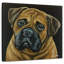 Dogue du Brampt