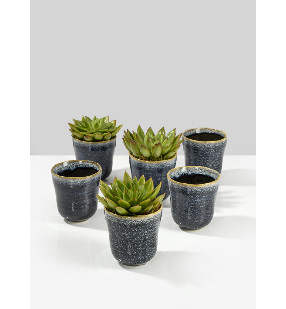 Perkins Ceramic Pot Planter (Set of 6) Foundry Select
