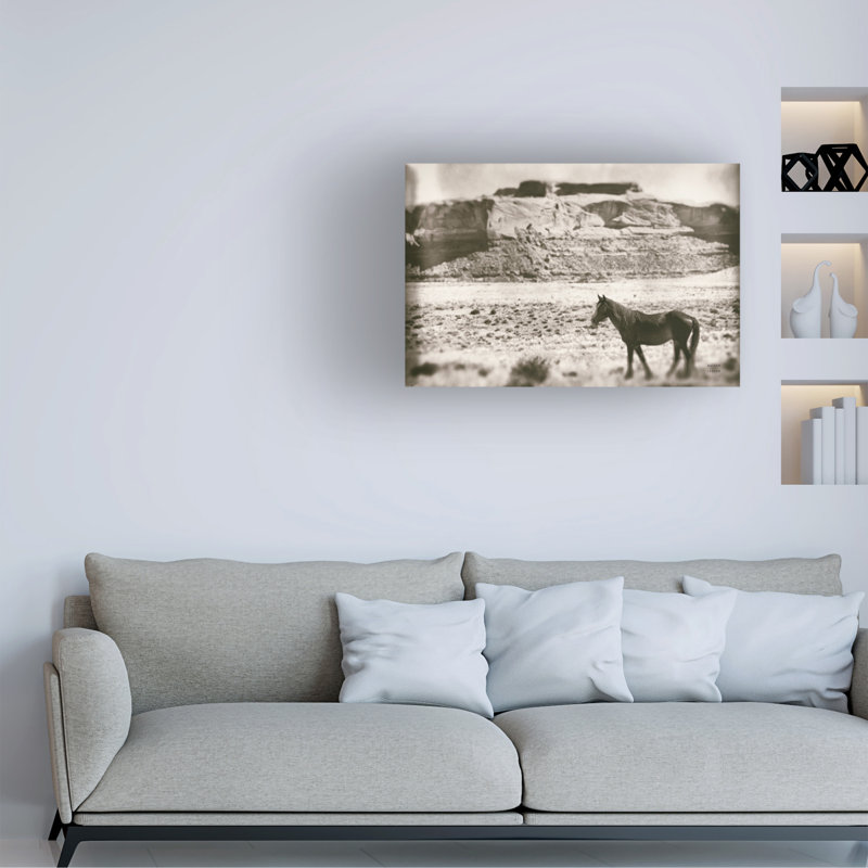 Art mural sur toile «Bachelor Nathan Larson Summer Range», H 30 po x l 47 po