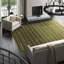 Wool Striped Area Rug in Green/Yellow