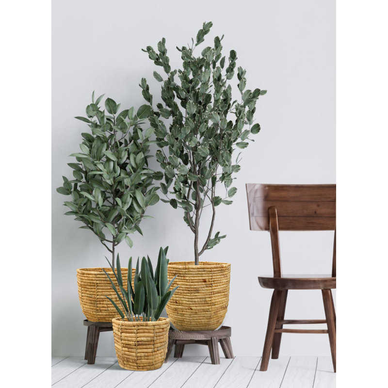 Shanlee Pot Planter