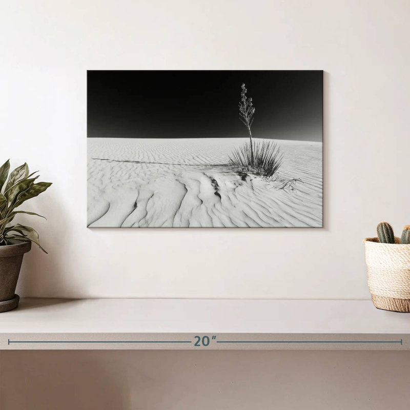 Alvord White Sands Impression monochrome, H 8 po x l 12 po