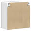 Kitchen Standard Wall Cabinet-107379444