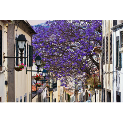 Madeira Funchal - Wrapped Canvas Print