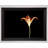 X-Ray Orange - Single Picture Frame Print-1757233882