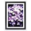 Lilac Hydrangeas - Picture Frame Painting Print-55582574-55582576
