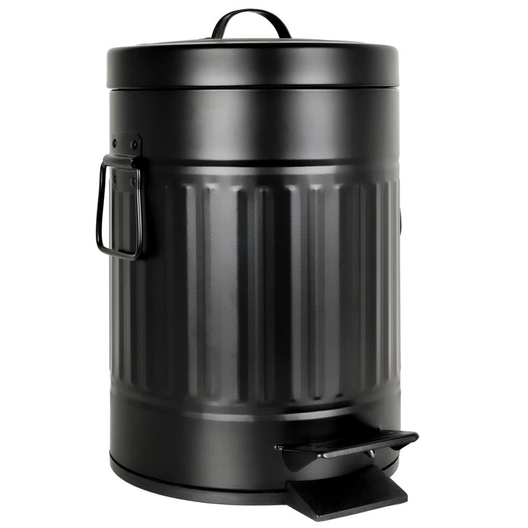 https://assets.wfcdn.com/im/19137036/resize-h755-w755%5Ecompr-r85/2317/231785656/1.32+Gallons+Metal+Step+On+Trash+Can.jpg