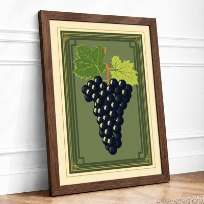 Grapes And Leaves Botanical - Print