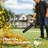 20V Cordless Handheld Leaf Blower with 4.0Ah Battery & Charger, Brushless Motor, 650 CFM, 200 MPH, Variable Speed for Lawn, Patio and Deck Yard Cleaning