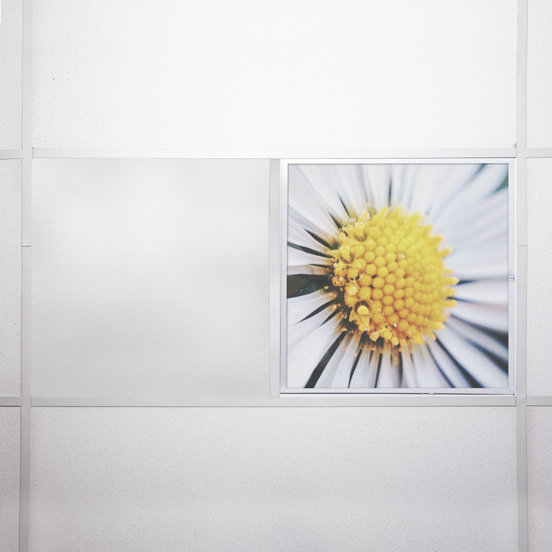 Flower Square Fixture Component Ceiling Light