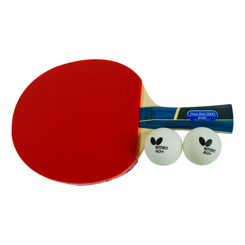 Butterfly Timo Boll 2000 Paddle Wayfair