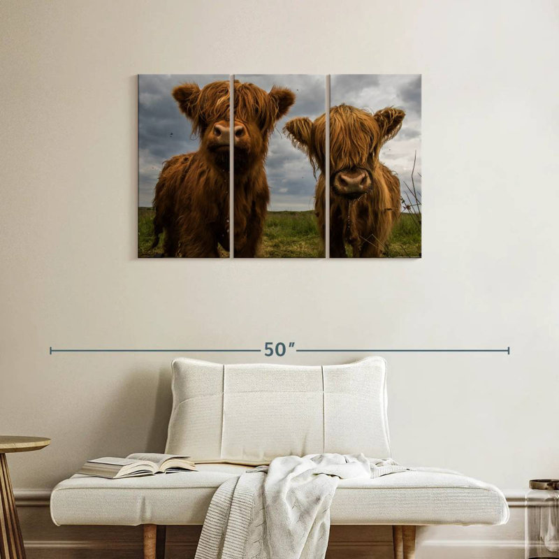 Brampt Baby Highland Cows, H 24 po x l 38 po