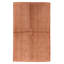 Flatweave Area Rug in Multi