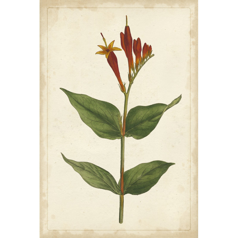 Vibrant Botanicals III - Wrapped Canvas Print, 46cm H x 30cm W x 3.8cm D