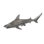 Tip Reef Shark Wall Décor