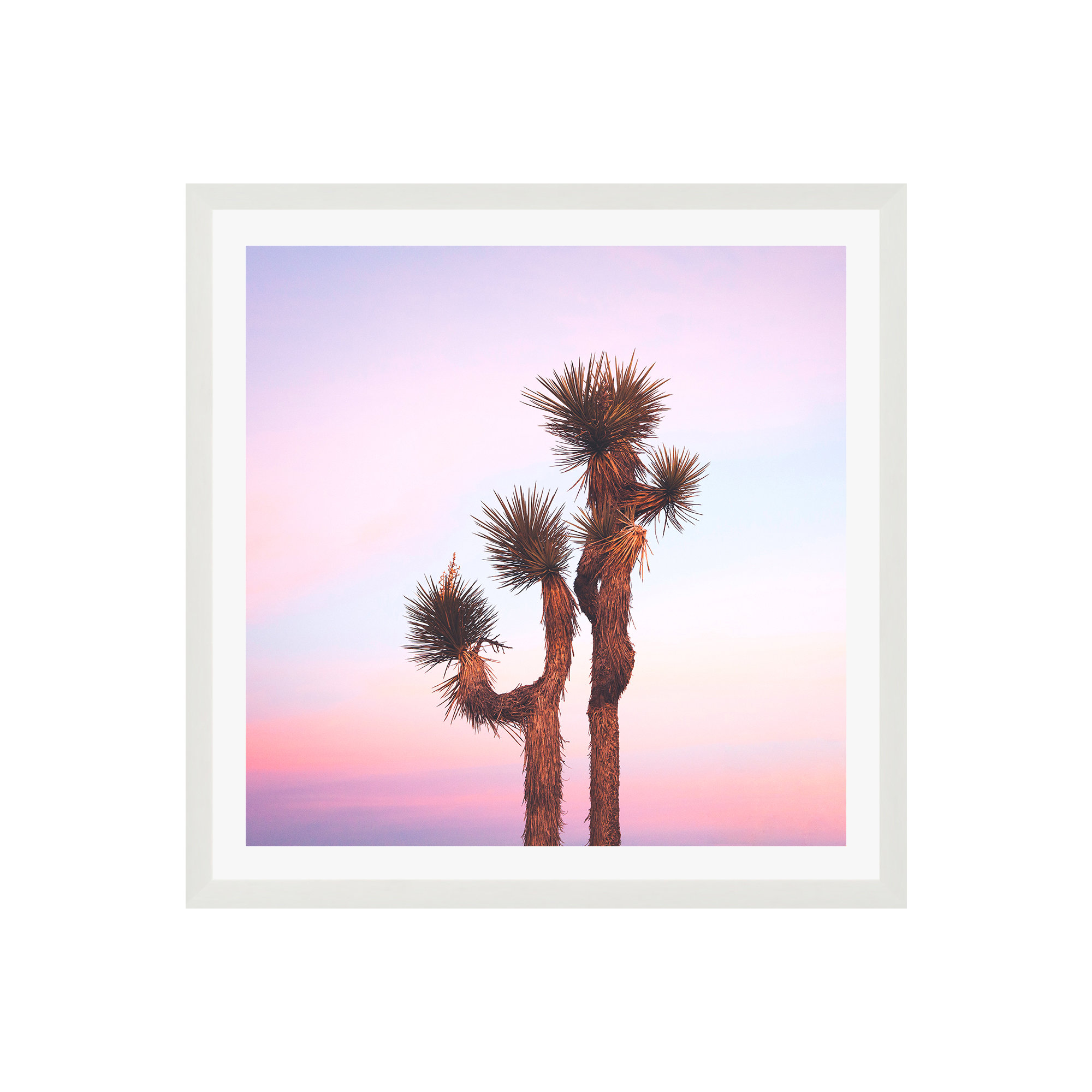 Desert Skies by Catherine McDonald, White Single Picture Framed, 12" H x 12" W x 0.75" D, Yes
