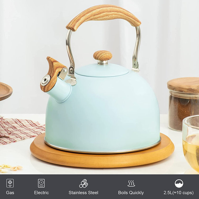 2.5L Enameled Teakettle with Handle, Steel Teapot Colorful Tea Kettle for  Stovetop, Hot Water, No Whistling White