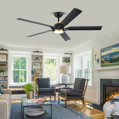 60'' Ceiling Fan With Light