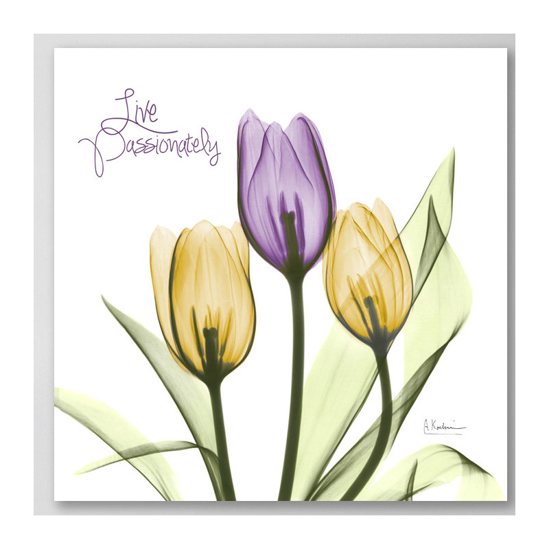 Live Passionately Tulips - Wrapped Canvas Print, 91 cm H x 91 cm W