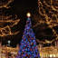 Indoor / Outdoor Plug-in LED Fairy String Light-1579987984-1579987985