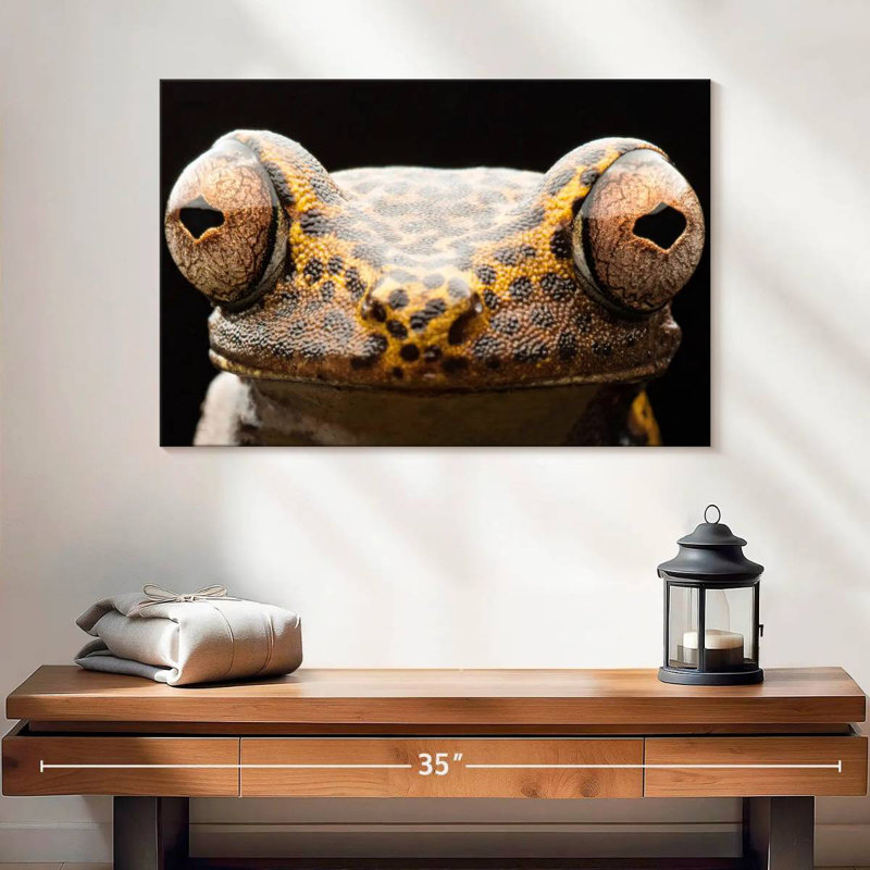 Brampt Tree Frog Eyes, 30" H x 45" W
