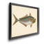 «Donovan Antique Fish III», impression sur toile encadrée-1214604012-1214604019
