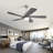 Damecia 52'' Ceiling Fan with LED Lights-1444270904