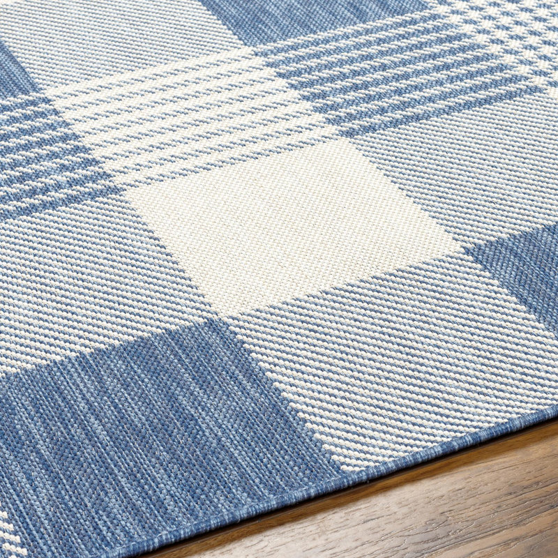 Emmeline Blue/Ivory Outdoor Area Rug, Rectangle 7'10" x 10'