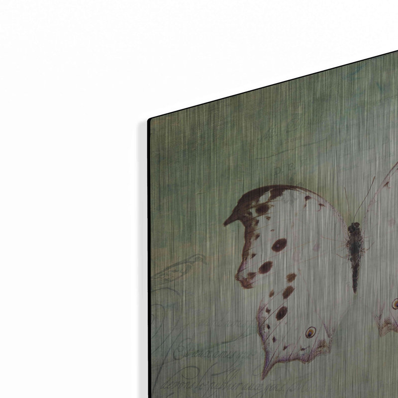 «French Butterfly IV» par Debra Van Swearingen, H 12 po x l 12 po