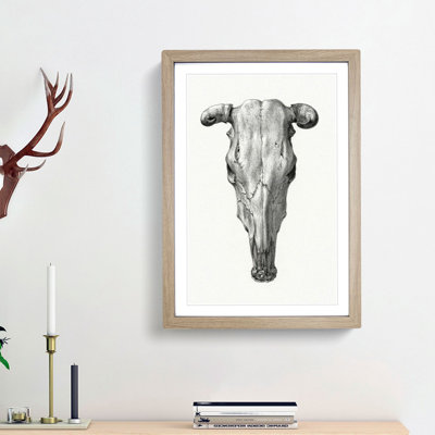 The Skull of a Cow by Jean Bernard - Picture Frame Drawing Print on MDF