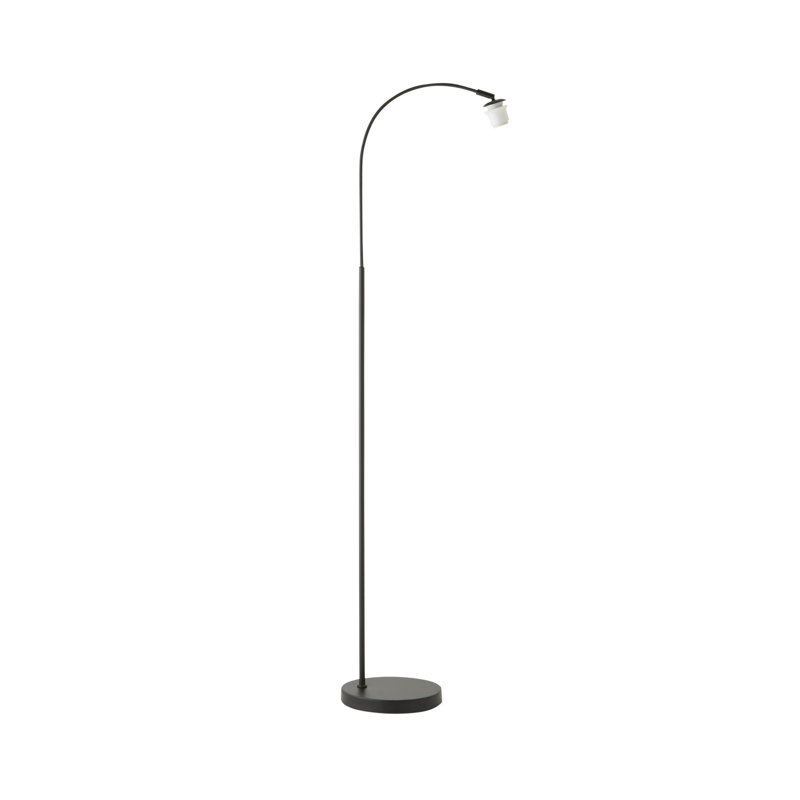 Derosier 155cm Arched Floor Lamp, Black