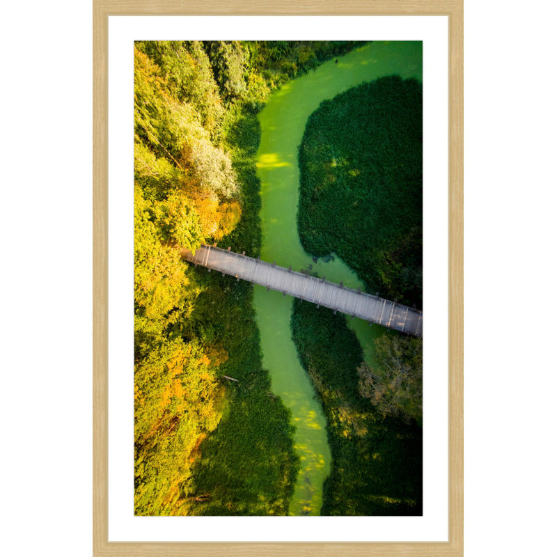 Single Picture Frame Print, 91 cm H x 61 cm W x 3.81 cm D