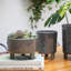 Ceramic Cachepot-597237449