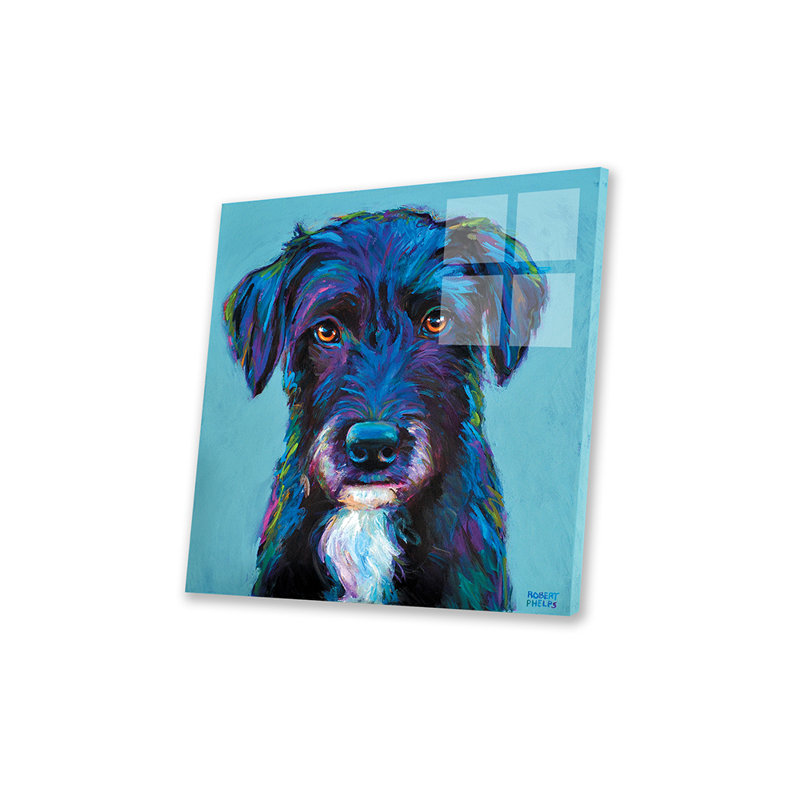 " Winston The Black Schnauzer "