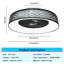 Heffernan Ceiling Fan with LED Lights