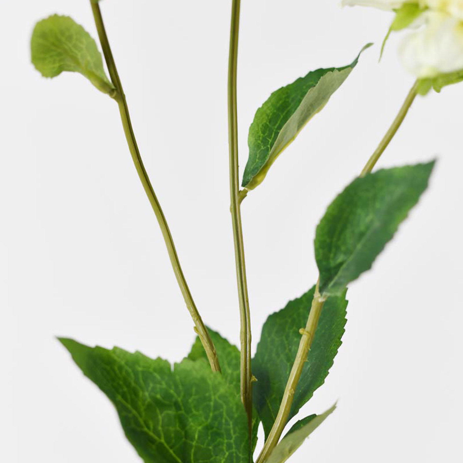 Decorative Artificial Paeonia lactiflora(Pack of 1 Branch), Green