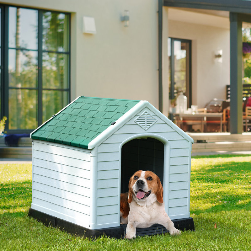 Niche pour chien Shelia, H 28 po x l 26 po x P 28,5 po, Vert / blanc / noir