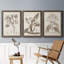 Antique sépia botanicals I - ensemble de 3 reproductions d'art sur toile-1241077294-1241077293