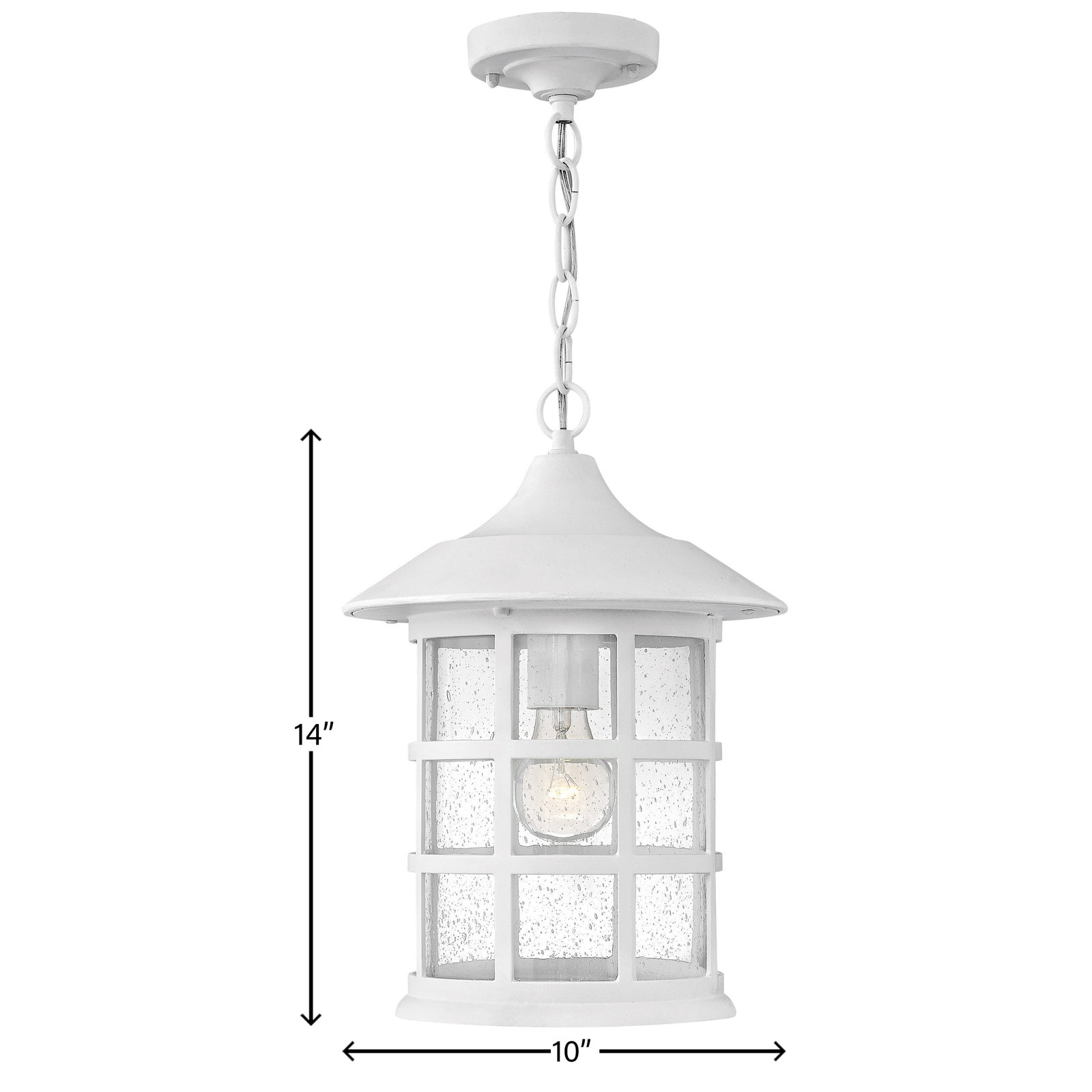 Freeport 1-Light Outdoor Hanging Lantern