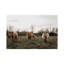Highland Cows at Sunset 1 Piece Wrapped Canvas Wall Art-1760357457-1760357469
