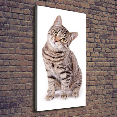 Cat - Wrapped Canvas Print