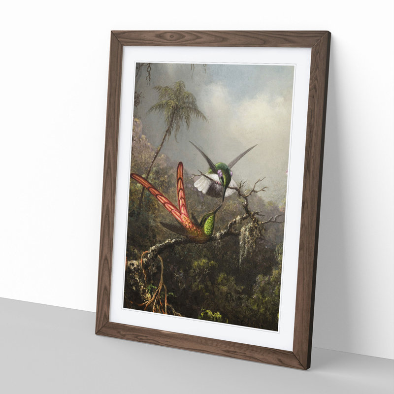 Two Hummingbirds by Martin Johnson Heade - Framed Print, Walnut Framed, 36cm H x 27cm W x 2cm D