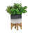 Ceramic 5" Planter On Stand
