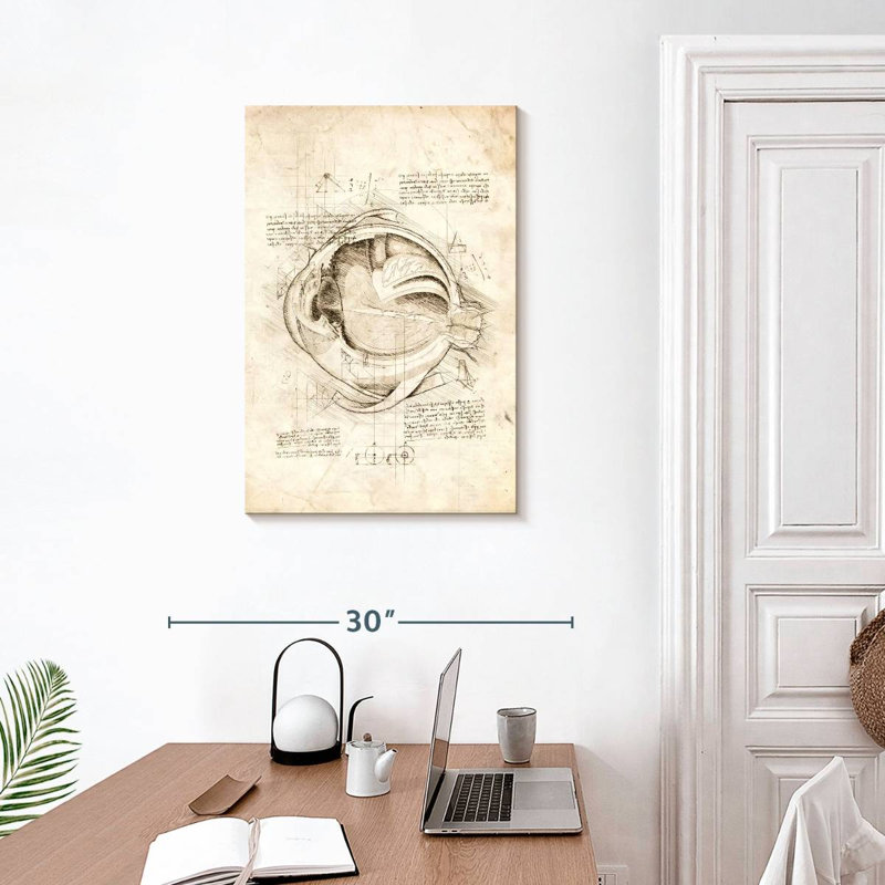 Keiri Human Eye Anatomy, 30" H x 20" W