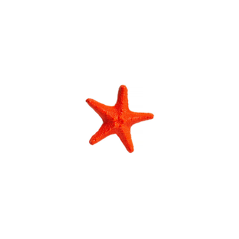 Medium Starfish - Orange, Orange