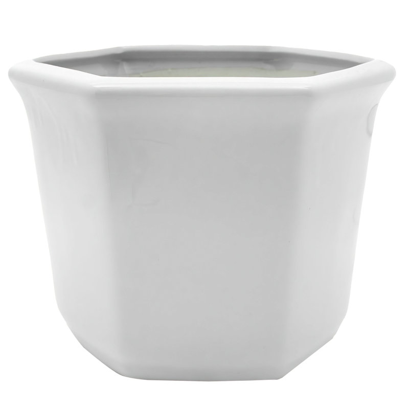 Chinese Porcelain Pot Planter, White