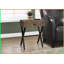 Table basse en bois récupéré avec base en métal noir - structure stable en X, multi-usage pour le salon, la chambre à coucher