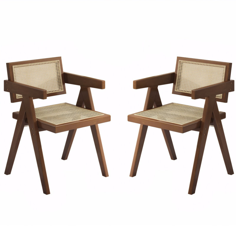 Modern Rattan Dining Chairs